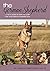 The German Shepherd: A vet's guide on how to care for your German Shepherd dog