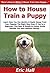 How to House Train a Puppy: Learn How You Can Quickly & Easily House Train Your Puppies The Right Way Even If You're a Beginner, This New & Simple to Follow Guide Teaches You How Without Failing