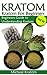 Kratom: Kratom for Beginners, Beginners Guide to Understanding Kratom (Kratom Plant, Kratom Guide, The Beginner Kratom Guide, Kratom Pills, Kratom Dose, Kratom Strains)