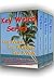 Key Weird Series: Key Weird, Key Weirder, Key Witch - Robert Tacoma's First Three Key West Novels