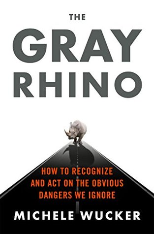 The Gray Rhino: How to Recognize and Act on the Obvious Dangers We Ignore (Hardcover)