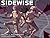 Sidewise #1