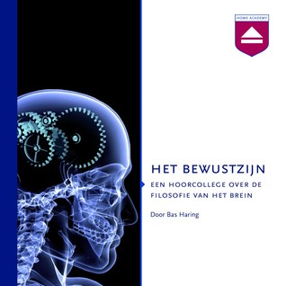 Het bewustzijn (Audiobook)