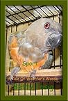 Sport The Red-Bellied Parrot by Betty Fasig