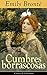 Cumbres borrascosas: Clásicos de la literatura (Spanish Edition)