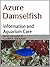 Azure Damselfish: Informati...