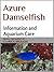 Azure Damselfish: Information and Aquarium Care