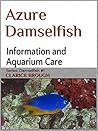 Azure Damselfish: Information and Aquarium Care