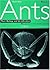 Australian Ants: Their Biology and Identification (Monographs on Invertebrate Taxonomy Series Book 3)