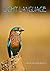 Light Language by Vidagdha Bennett