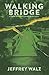 Walking Bridge: A Novel of Friendship and Redemption