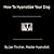 How To Hypnotize Your Dog