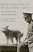 From Stray Dog to World War...