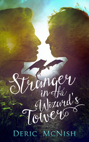 Stranger in the Wizard's Tower (Paperback)