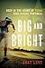 Big and Bright by Gray Levy