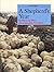 Discover a Shepherds Year by Young Books