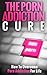The Porn Addiction Cure: Ho...