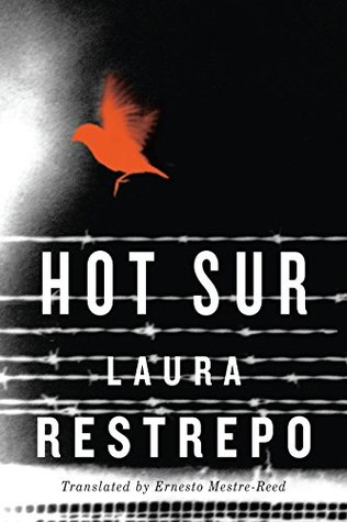 Hot Sur (Kindle Edition)