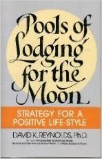 Pools of Lodging for the Moon: Strategy for a Positive Life-Style