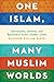 One Islam, Many Muslim Worl...