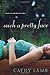 Such a Pretty Face by Cathy  Lamb