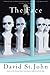 The Face: A Novella in Verse
