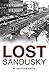 Lost Sandusky by M. Kristina Smith