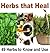 Herbs that Heal: 49 Herbs to know and Use to Protect Yourself: herbs, natural remedies, herbal remedies, essential oil)