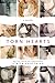 Torn Hearts (Hearts, #1.5)