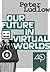 Our Future in Virtual Worlds by Peter Ludlow Our Future in Virtual Worlds by Peter Ludlow