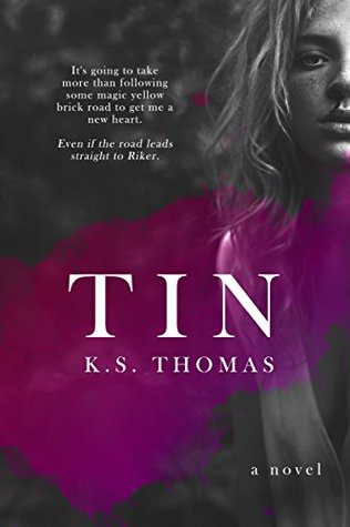 Tin: A Contemporary Cowboy Romance (Kindle Edition)