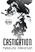 Castigation (Aremihc Trilogy, #1)