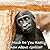 Books For Kids: How Much Do You Really Know About Gorilla? (Gorilla Picture Books For Kids)