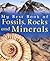 My Best Book of Fossils, Rocks and Minerals