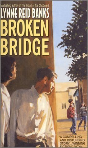 Broken Bridge (Paperback)