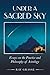 Under a Sacred Sky by Ray Grasse
