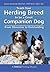 TEACH YOUR HERDING BREED TO BE A GREAT COMPANION DOG, FROM OB... by Dawn Antoniak-Mitchell
