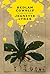 Bedlam Cowslip by Jeanette Lynes