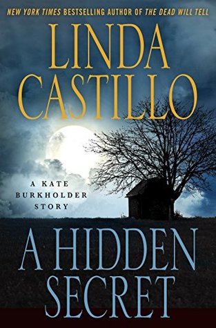 A Hidden Secret (Kate Burkholder, #6.5)