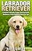 Labrador Retriever by David Gibson