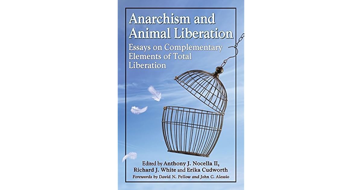 Biography vs autobiography picture