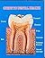 JINDAL NATURECURE INSTITUTE GUIDE TO DENTAL HEALTH by Mitu Singhal