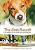 The Jack Russell: A vet's guide on how to care for your Jack Russell