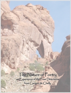 The Nature of Poetry