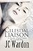 Celestial Liaison (Mystic Waters: Cavanaugh Family #8)