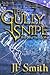 The Gully Snipe (The Dual World Book 1)