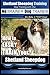 Shetland Sheepdog Training | Dog Training with the No BRAINER Dog TRAINER ~ We make it THAT Easy!: How to EASILY TRAIN Your Shetland Sheepdog