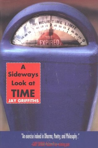 A Sideways Look at Time (Paperback)