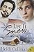 Let It Snow (Minnesota Christmas, #1)