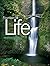 Fountain of Life: Encounter...